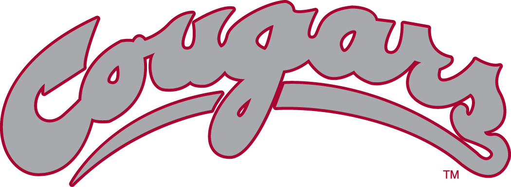 Washington State Cougars 1995-2010 Wordmark Logo v2 diy DTF decal sticker